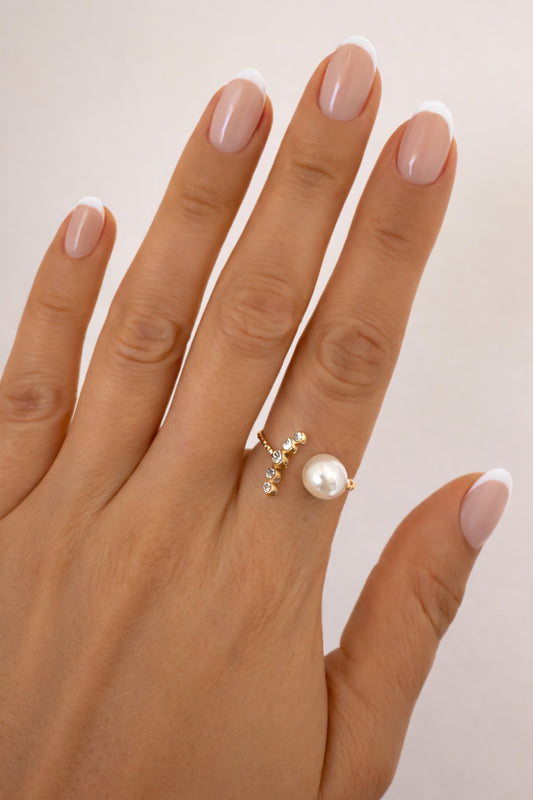 Anel ajustável em aço - até 4 de março