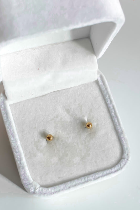 Gold stainless steel earrings