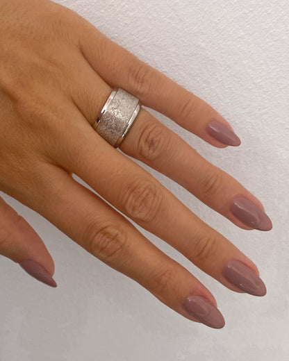 Brushed steel ring - Promotion 03-03 to 03-04